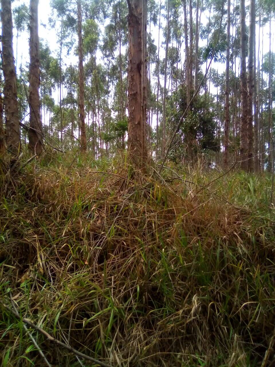 Fazenda em Jacareí/São Paulo — Ref F0ZG69 — Imagem 16