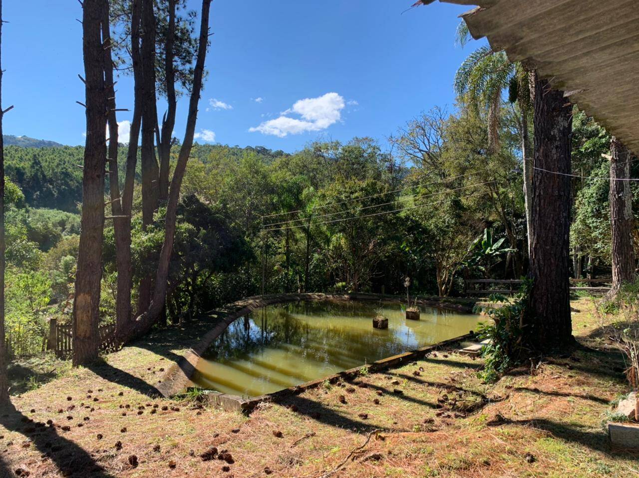 Chácara em Toledo/Minas Gerais — Ref 8E1074 — Imagem 3
