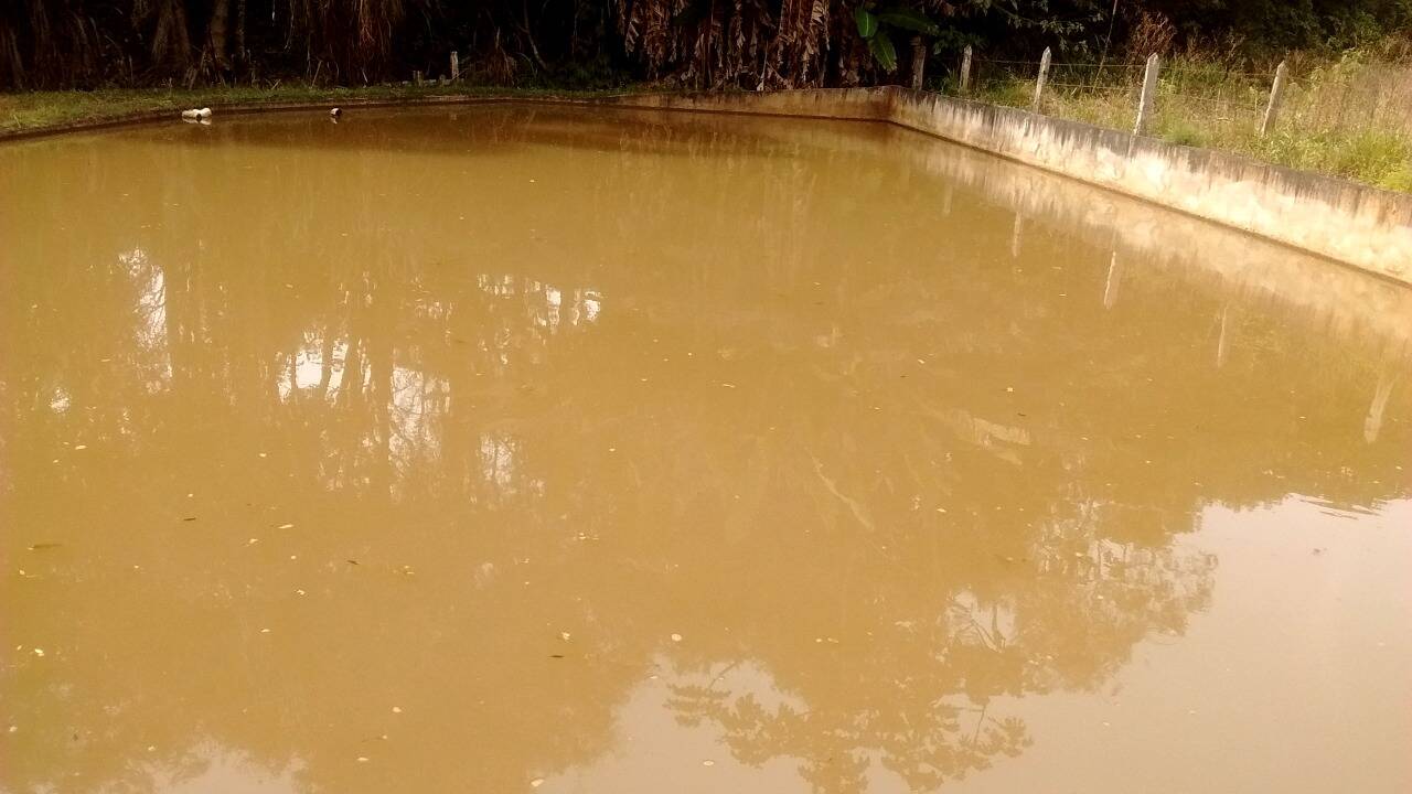 Chácara em Toledo/Minas Gerais — Ref 8E1074 — Imagem 7