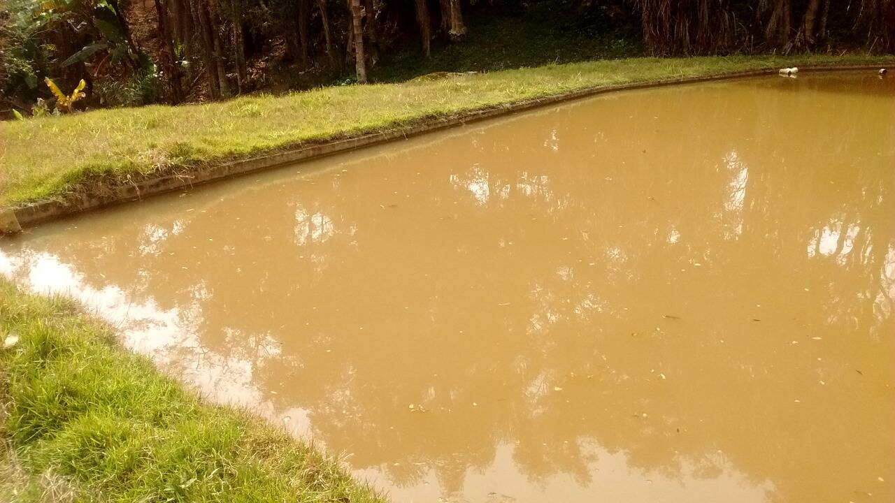 Chácara em Toledo/Minas Gerais — Ref 8E1074 — Imagem 17