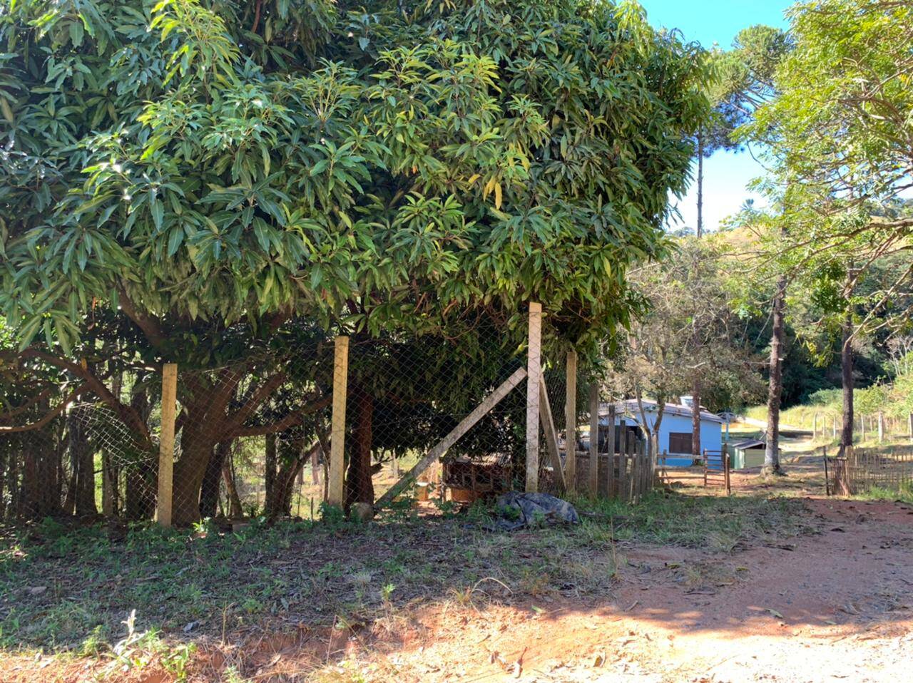 Chácara em Toledo/Minas Gerais — Ref 8E1074 — Imagem 23
