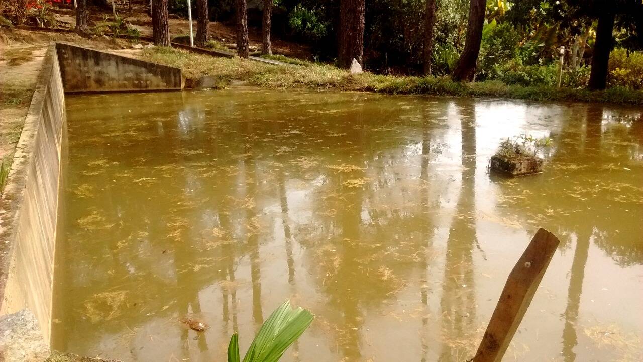 Chácara em Toledo/Minas Gerais — Ref 8E1074 — Imagem 28