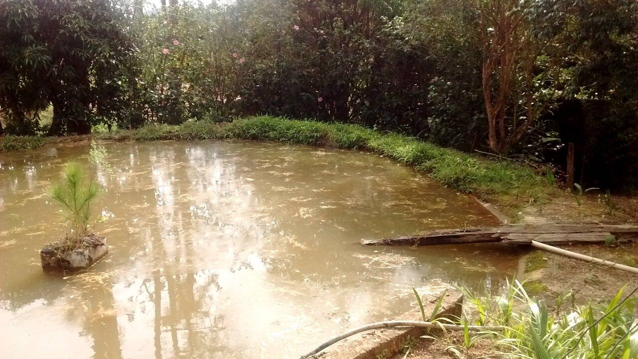 Chácara em Toledo/Minas Gerais — Ref 8E1074 — Imagem 34