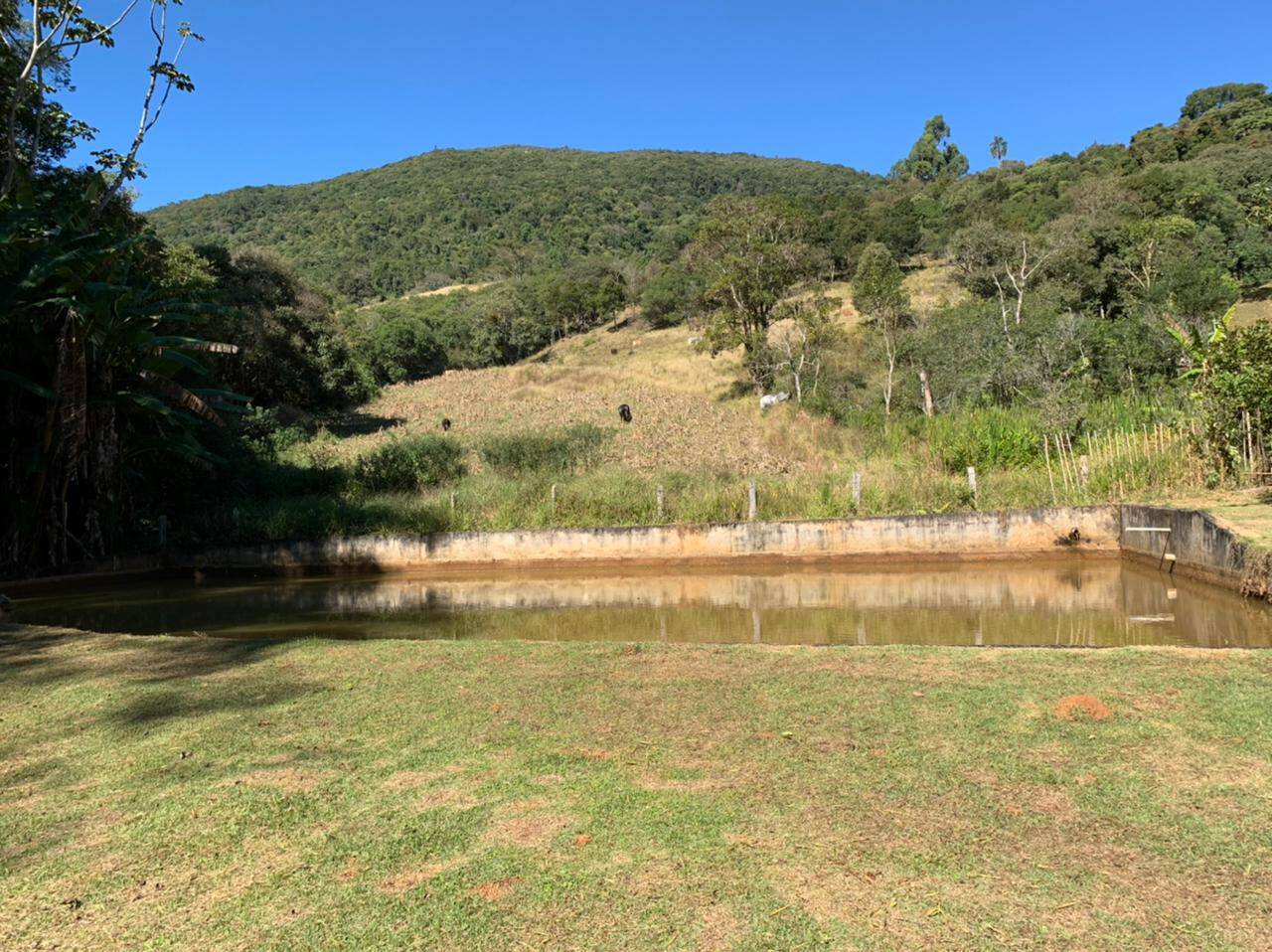 Chácara em Toledo/Minas Gerais — Ref 8E1074 — Imagem 35