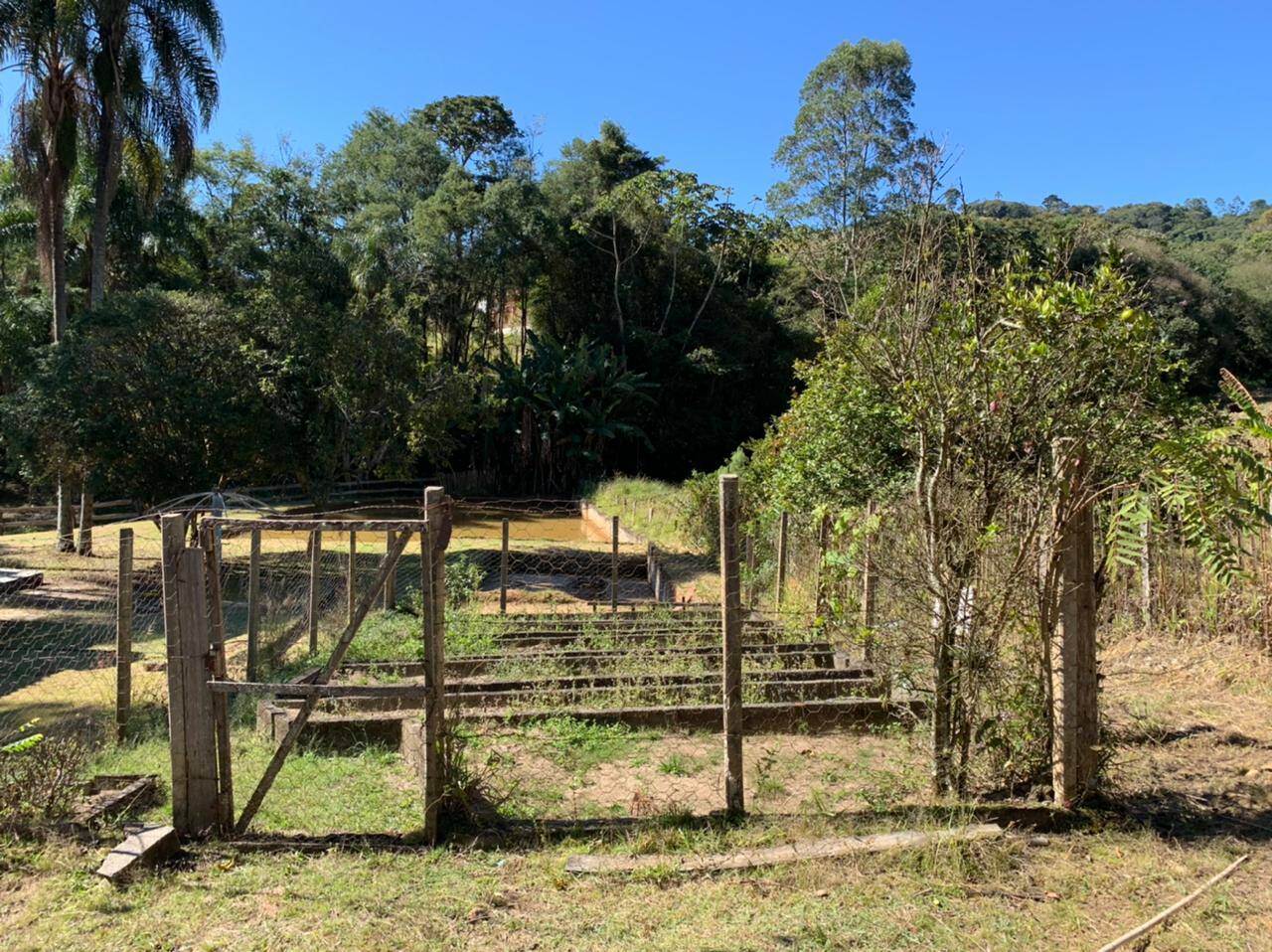 Chácara em Toledo/Minas Gerais — Ref 8E1074 — Imagem 37