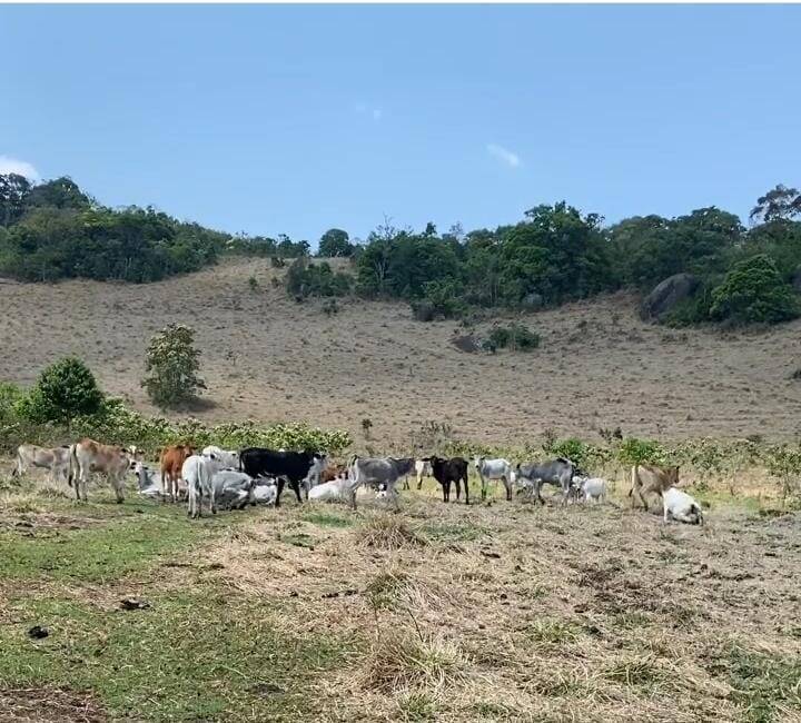 #2159 - Fazenda para Venda em Joanópolis - SP