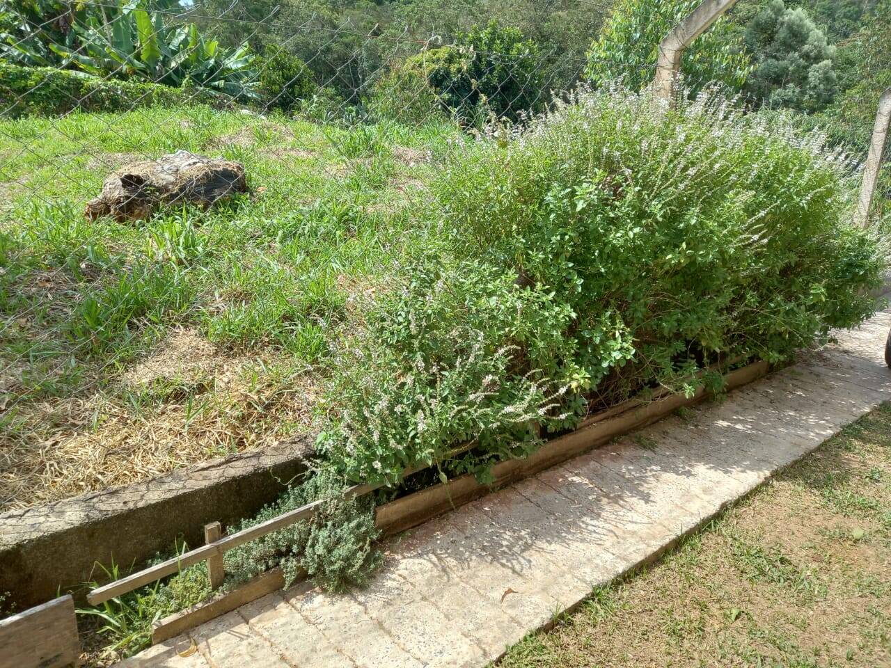 Chácara em Cotia/São Paulo — Ref MLKVQ6 — Imagem 16