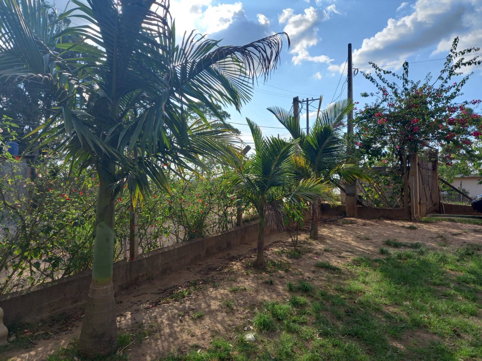 Chácara em Cotia/São Paulo — Ref MLKVQ6 — Imagem 17