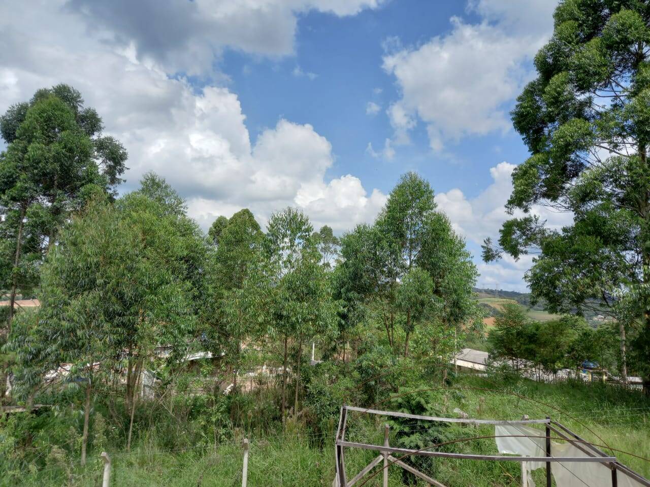 Chácara em Cotia/São Paulo — Ref MLKVQ6 — Imagem 19