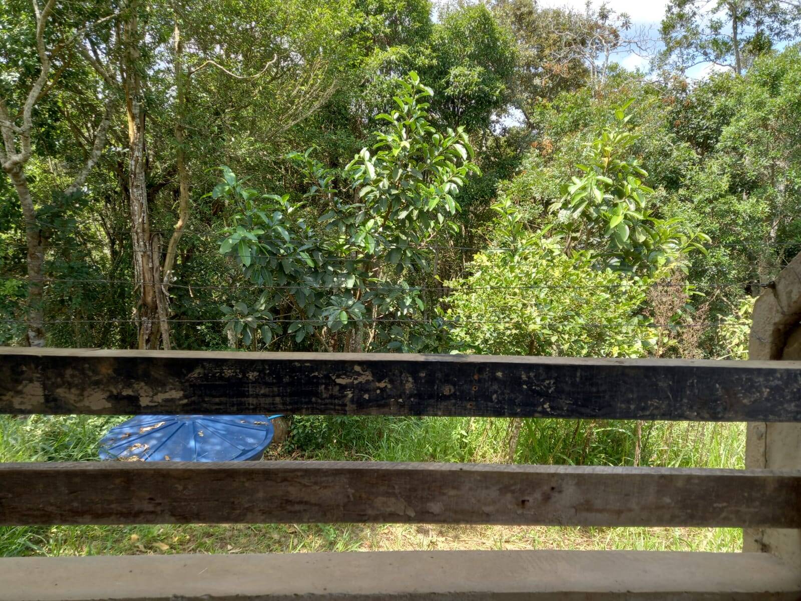 Chácara em Cotia/São Paulo — Ref MLKVQ6 — Imagem 27