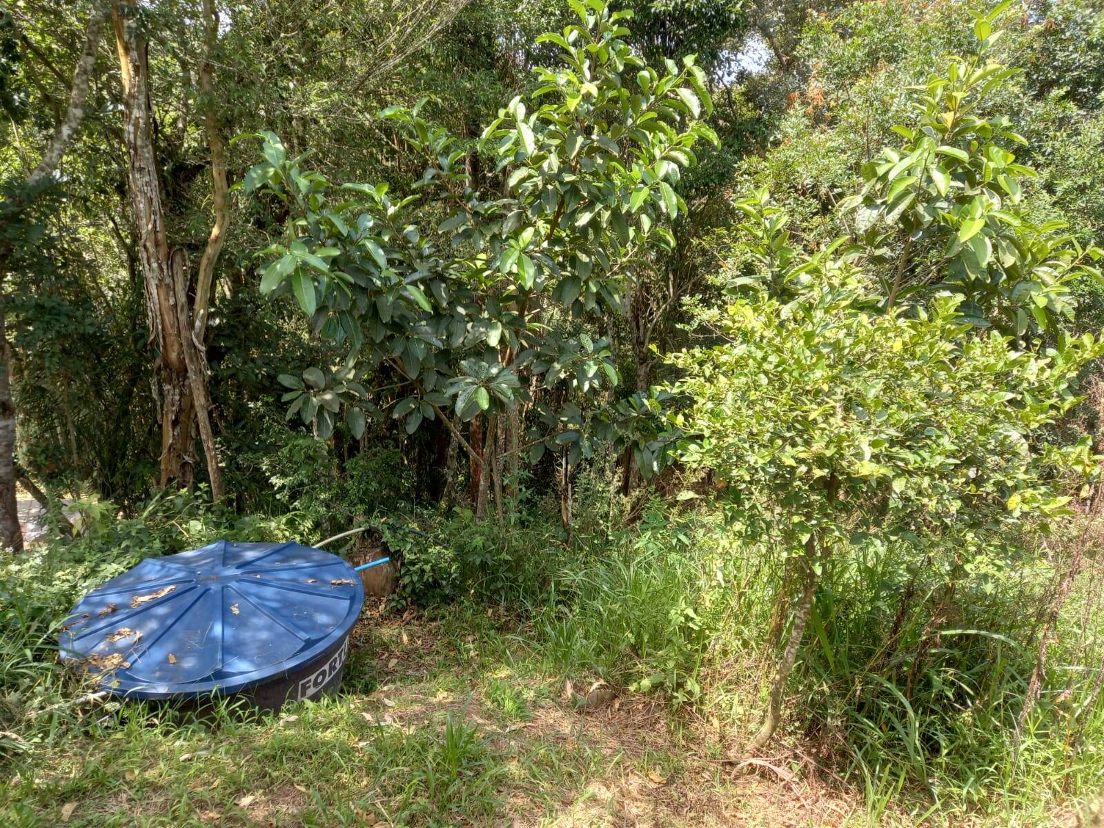 Chácara em Cotia/São Paulo — Ref MLKVQ6 — Imagem 26