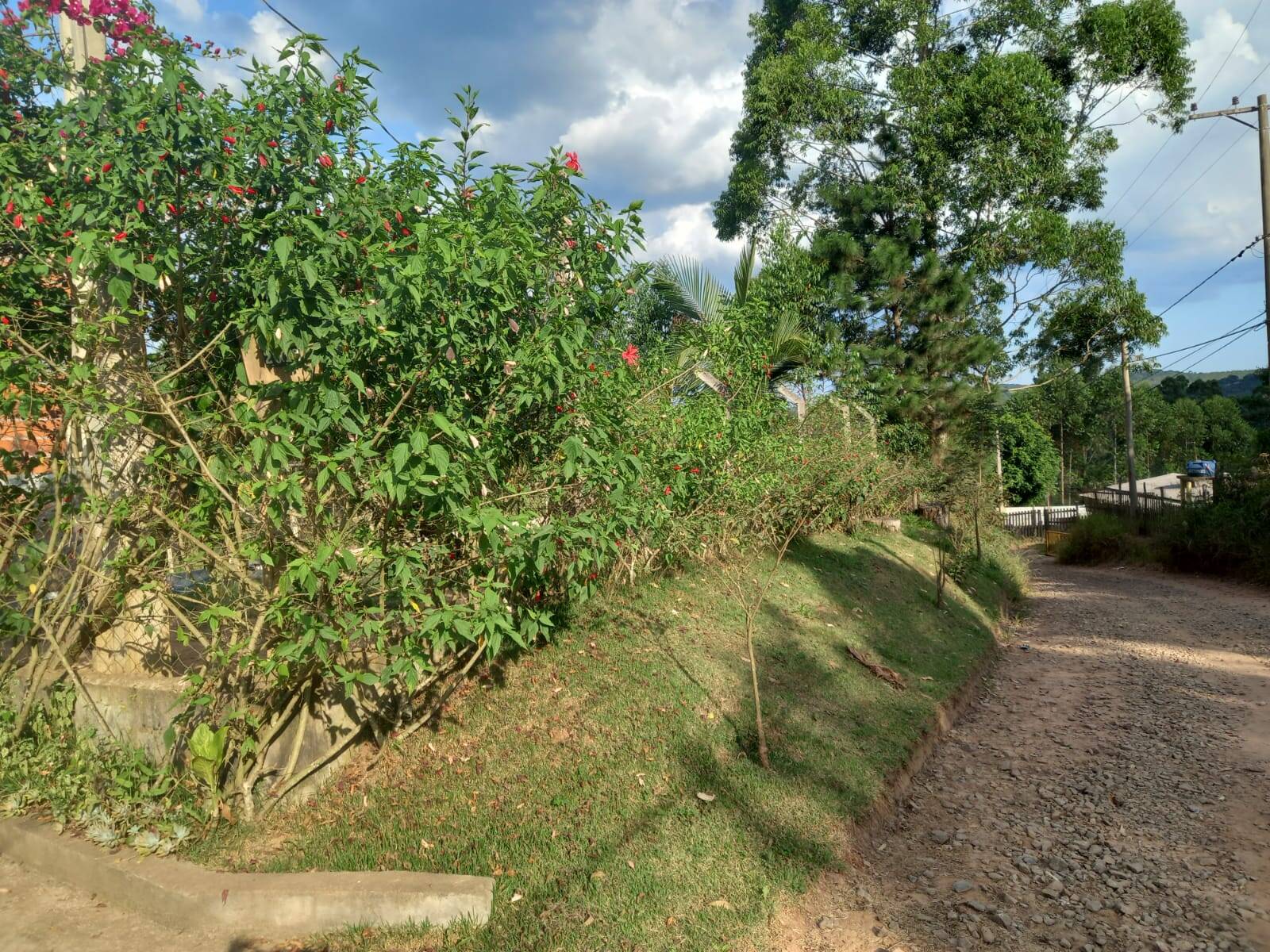 Chácara em Cotia/São Paulo — Ref MLKVQ6 — Imagem 28