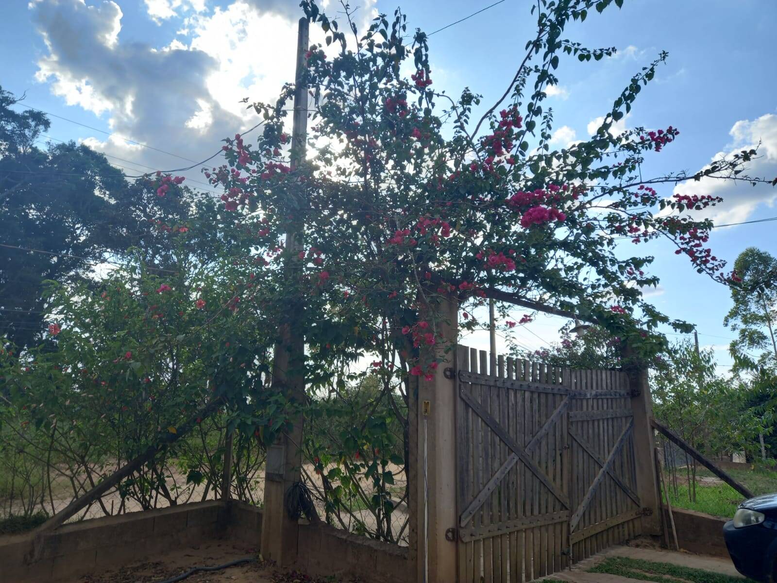 Chácara em Cotia/São Paulo — Ref MLKVQ6 — Imagem 44