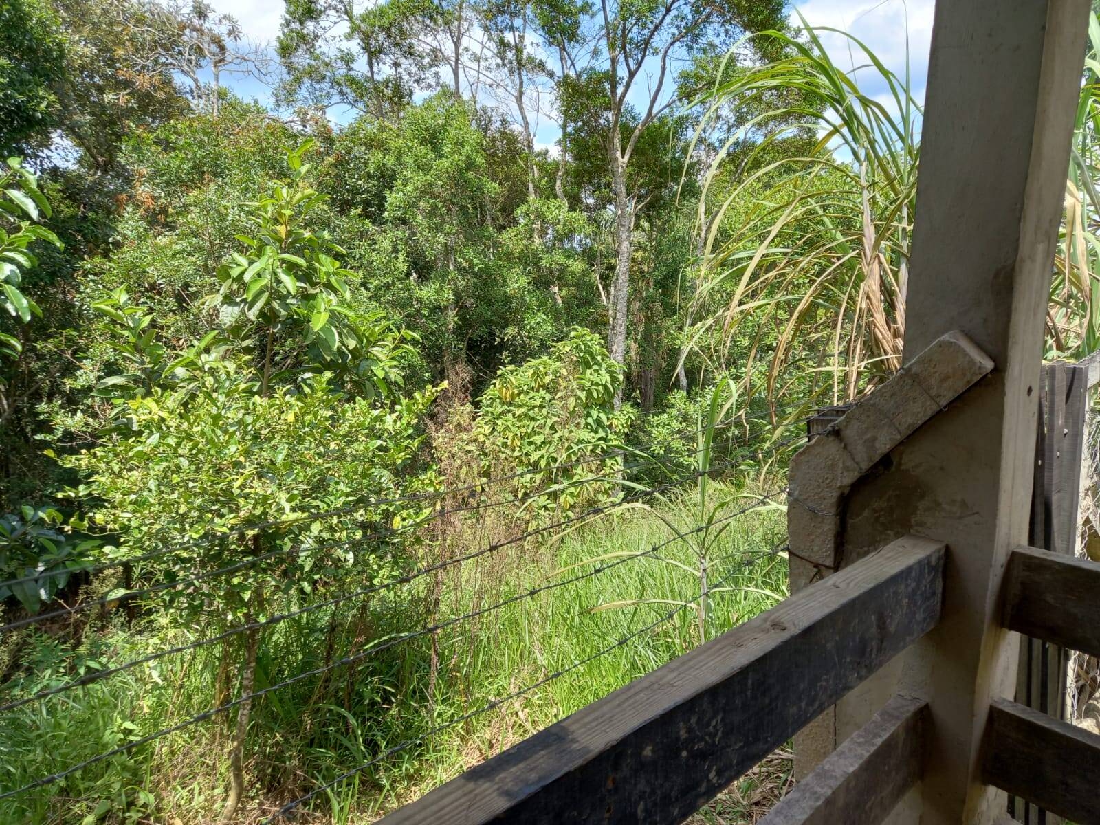 Chácara em Cotia/São Paulo — Ref MLKVQ6 — Imagem 52