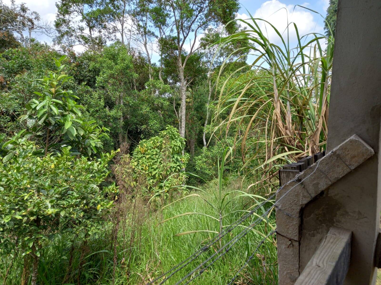 Chácara em Cotia/São Paulo — Ref MLKVQ6 — Imagem 58