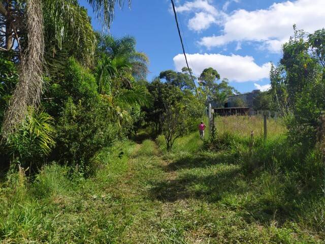 Chácara em Mairiporã/São Paulo — Ref JP5Z6G — Imagem 4