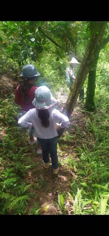 Chácara em Mairiporã/São Paulo — Ref JP5Z6G — Imagem 9