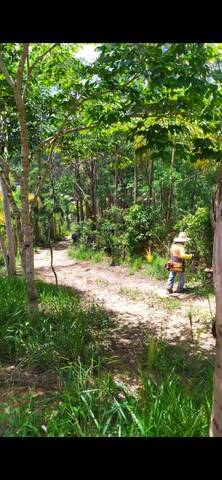 Chácara em Mairiporã/São Paulo — Ref JP5Z6G — Imagem 16
