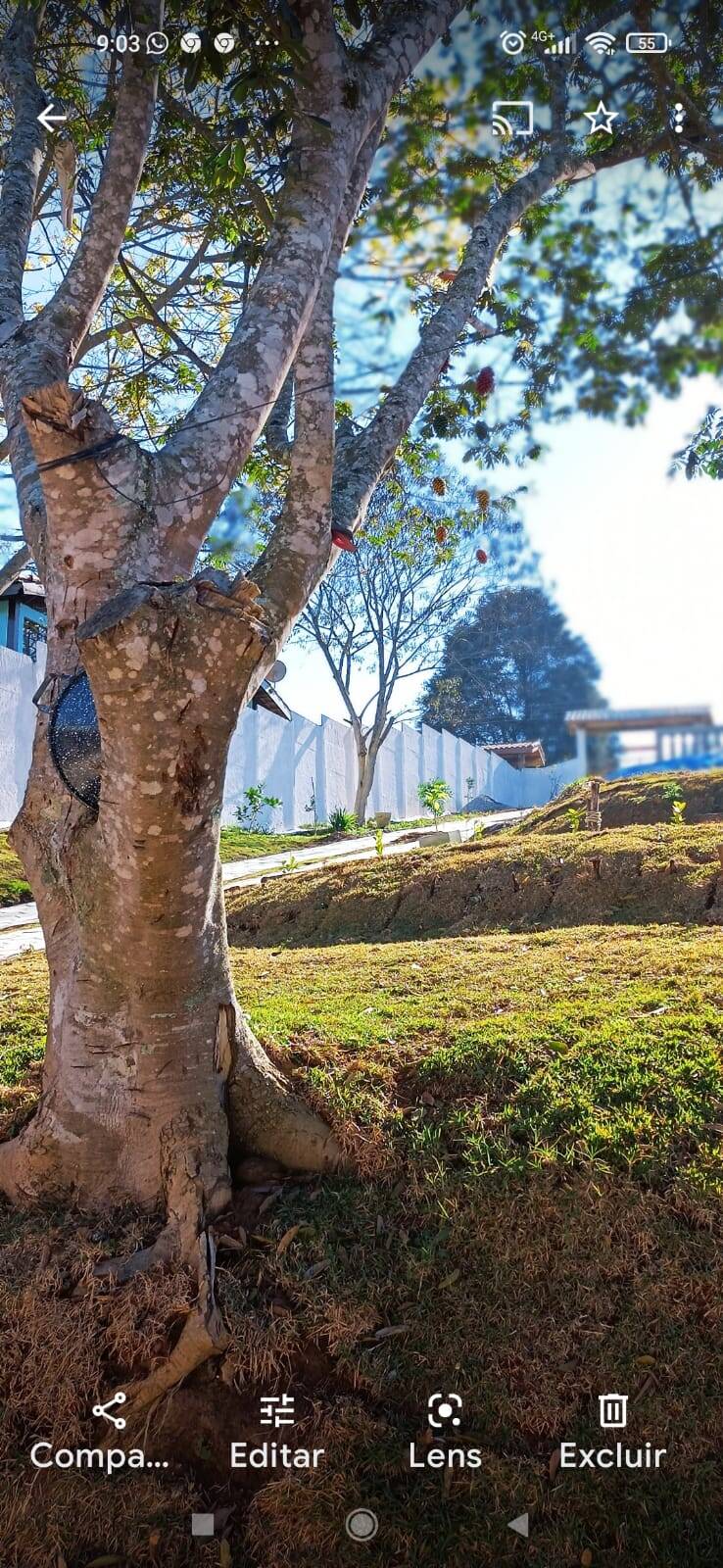 Chácara em Mairiporã/São Paulo — Ref TR1GO0 — Imagem 17