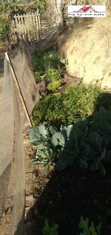 Chácara em Atibaia/São Paulo — Ref 6BIDTH — Imagem 21