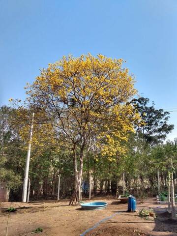 Chácara em Atibaia/São Paulo — Ref HYC23A — Imagem 6