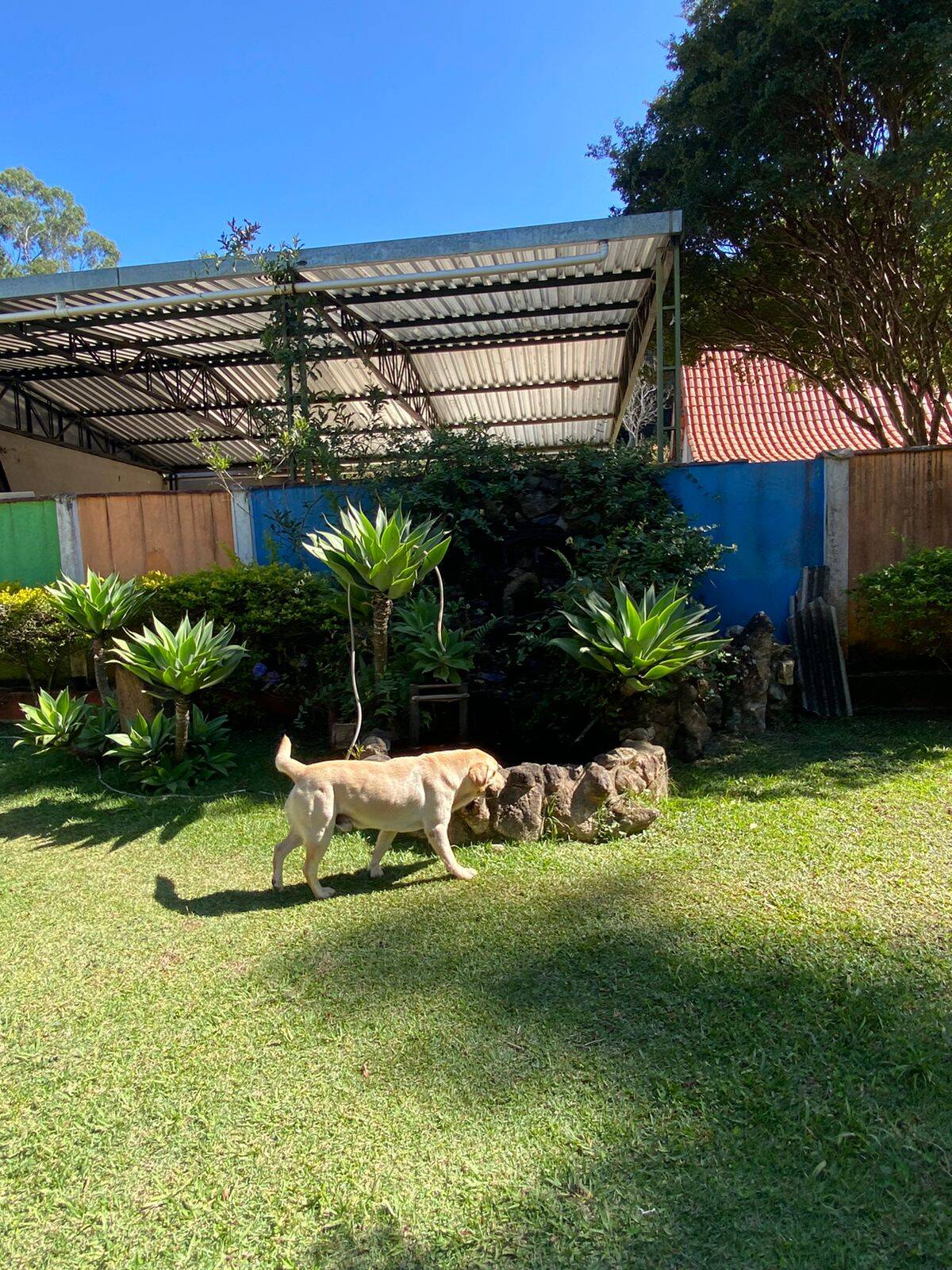 Chácara em Mairiporã/São Paulo — Ref YAWGPC — Imagem 7