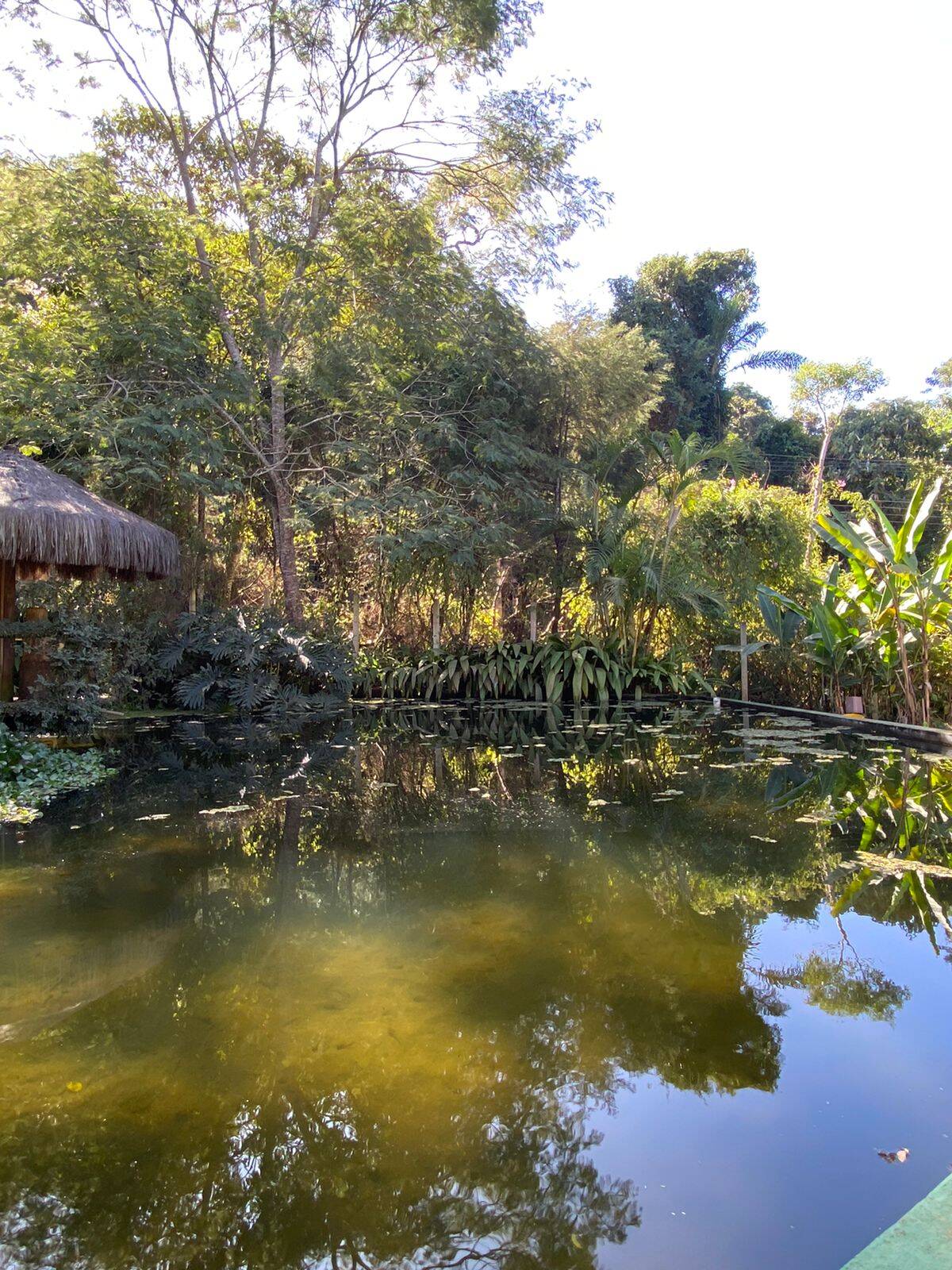Chácara em Mairiporã/São Paulo — Ref YAWGPC — Imagem 29