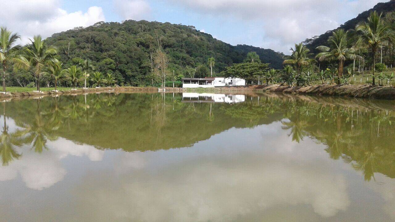 #1633 - Fazenda para Venda em Registro - SP