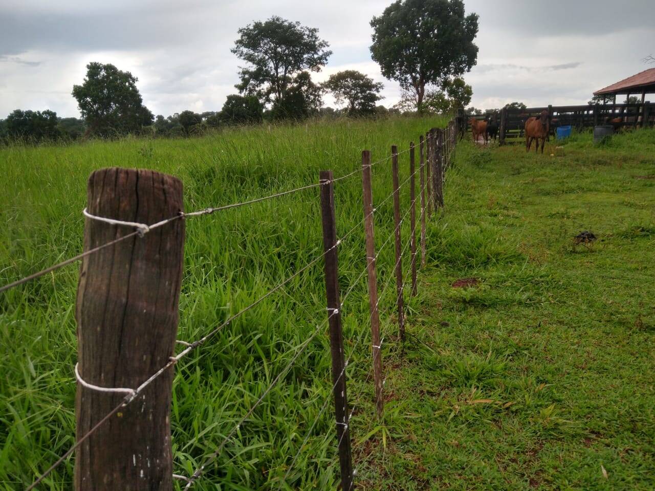 Fazenda em Inocência/Mato Grosso do Sul — Ref E9LL6X — Imagem 5