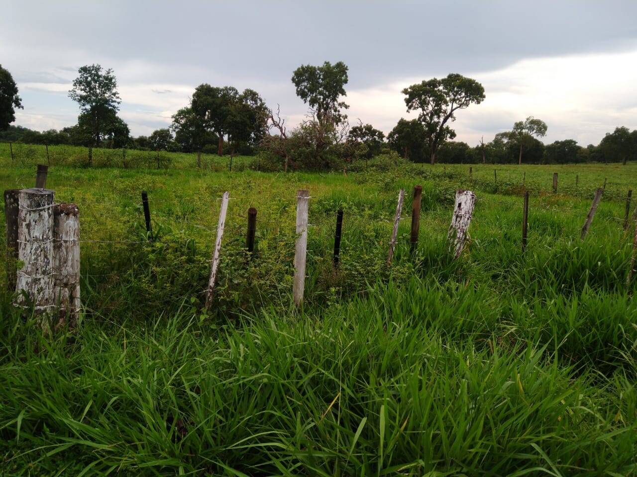 Fazenda em Inocência/Mato Grosso do Sul — Ref E9LL6X — Imagem 7