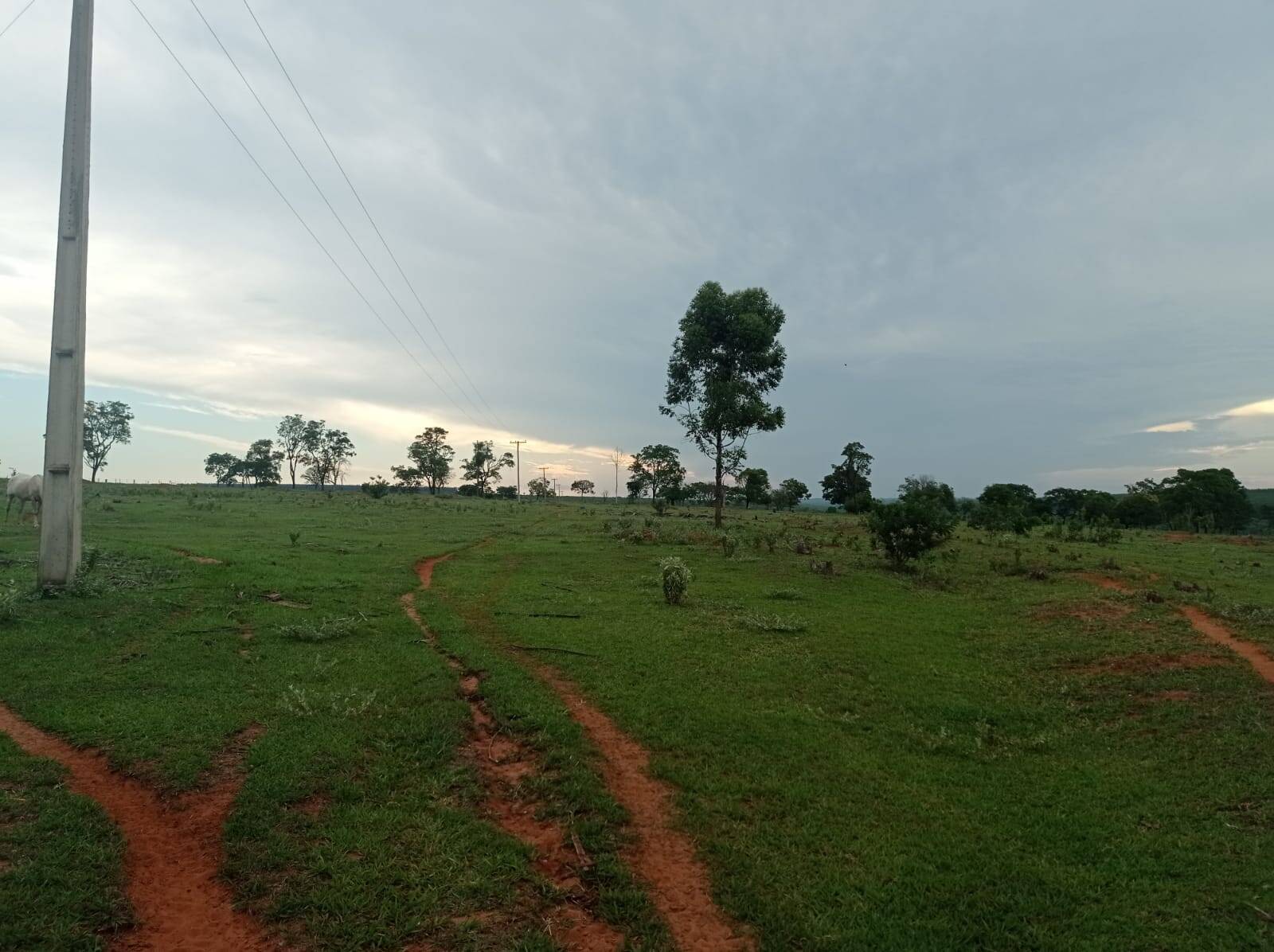 Fazenda em Avaí/São Paulo — Ref PXFOOA — Imagem 10