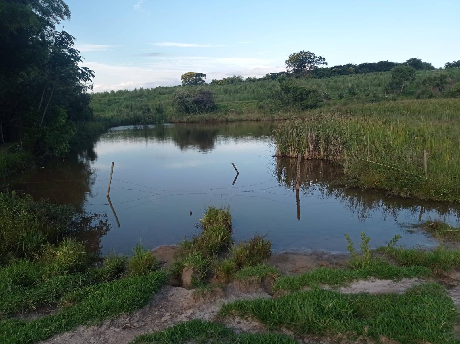 Fazenda em Avaí/São Paulo — Ref PXFOOA — Imagem 3