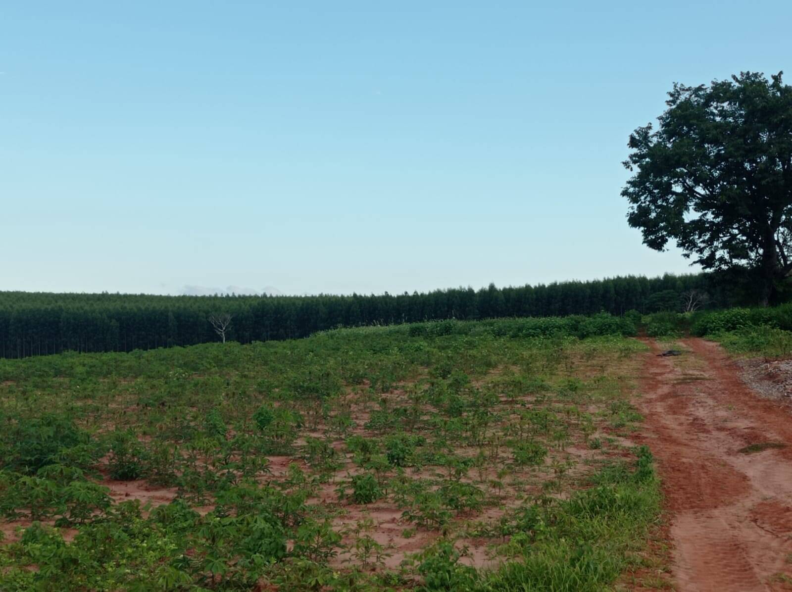 Fazenda em Avaí/São Paulo — Ref PXFOOA — Imagem 15