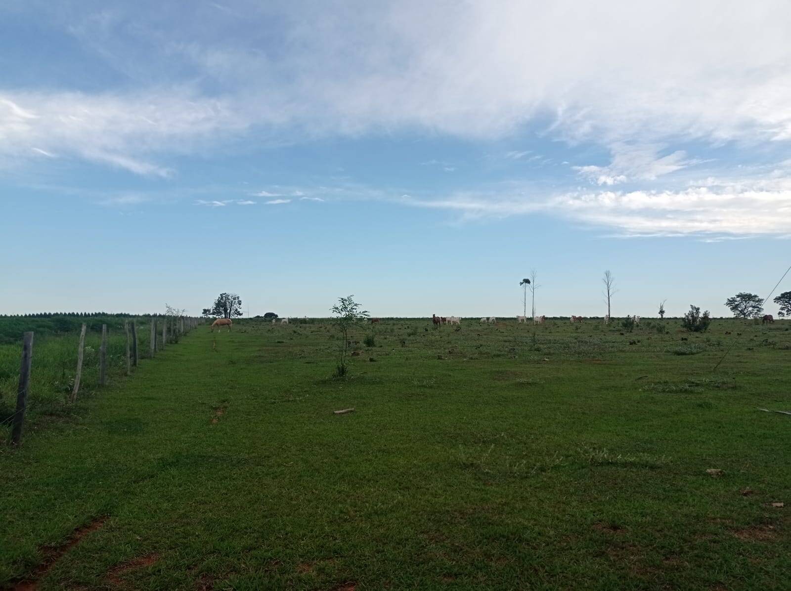 Fazenda em Avaí/São Paulo — Ref PXFOOA — Imagem 16