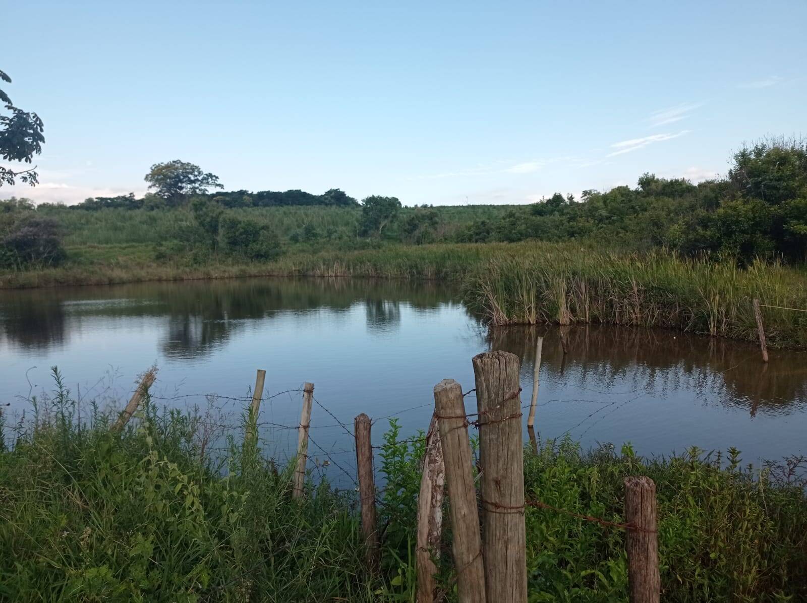Fazenda em Avaí/São Paulo — Ref PXFOOA — Imagem 18