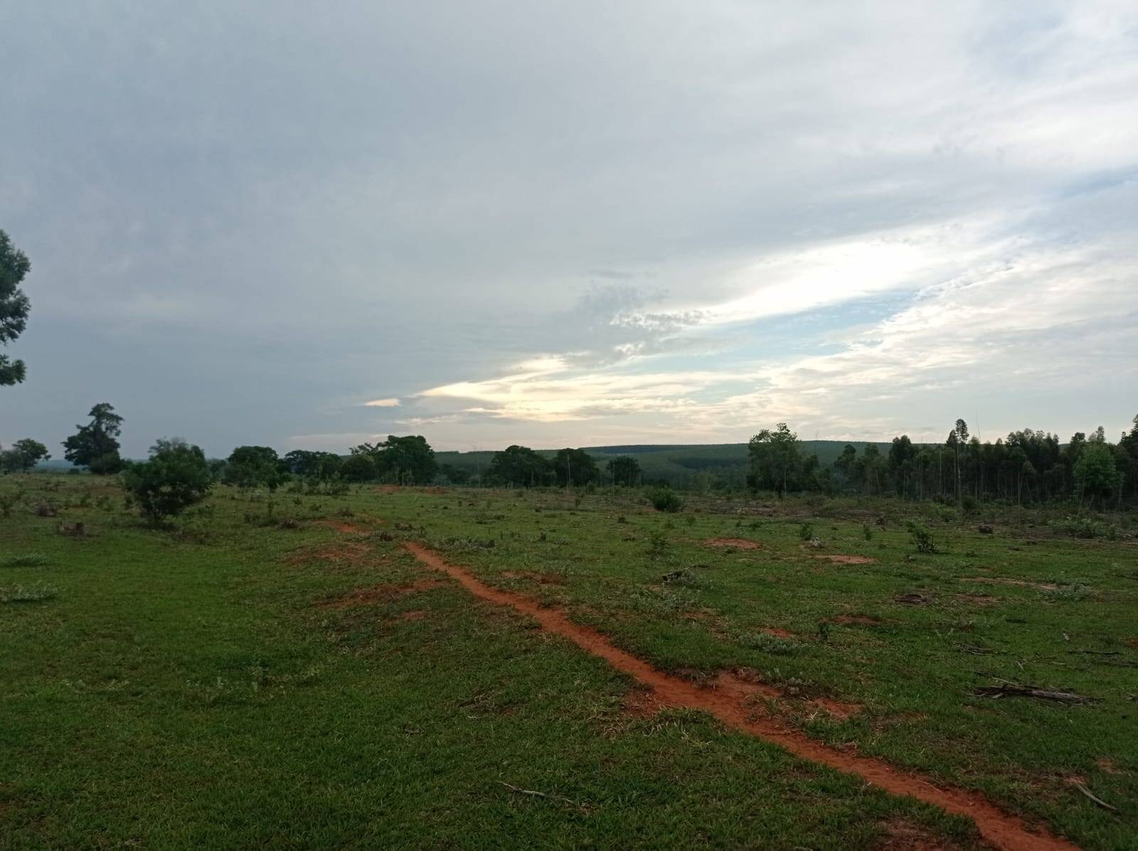 Fazenda em Avaí/São Paulo — Ref PXFOOA — Imagem 19