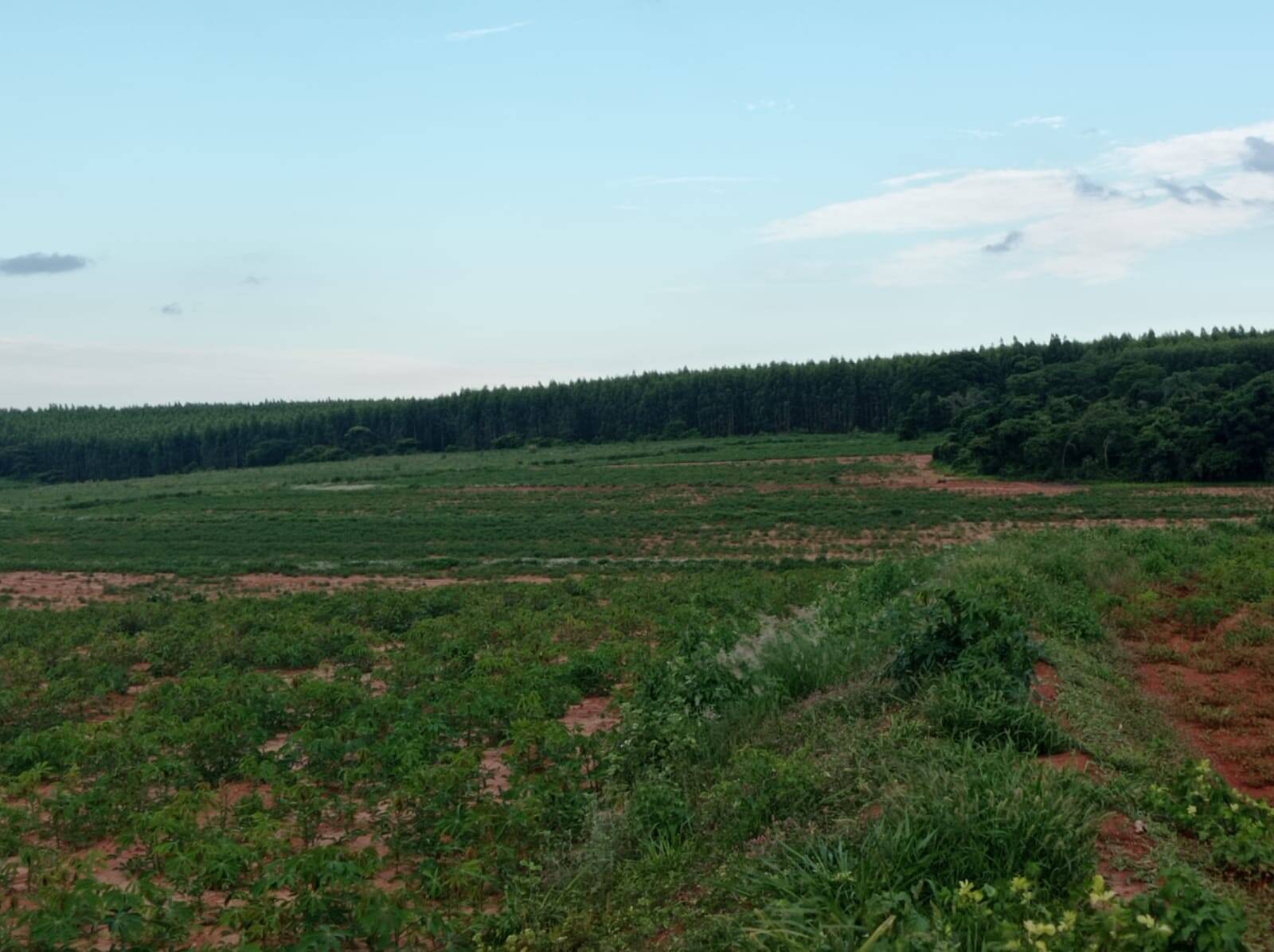 Fazenda em Avaí/São Paulo — Ref PXFOOA — Imagem 22