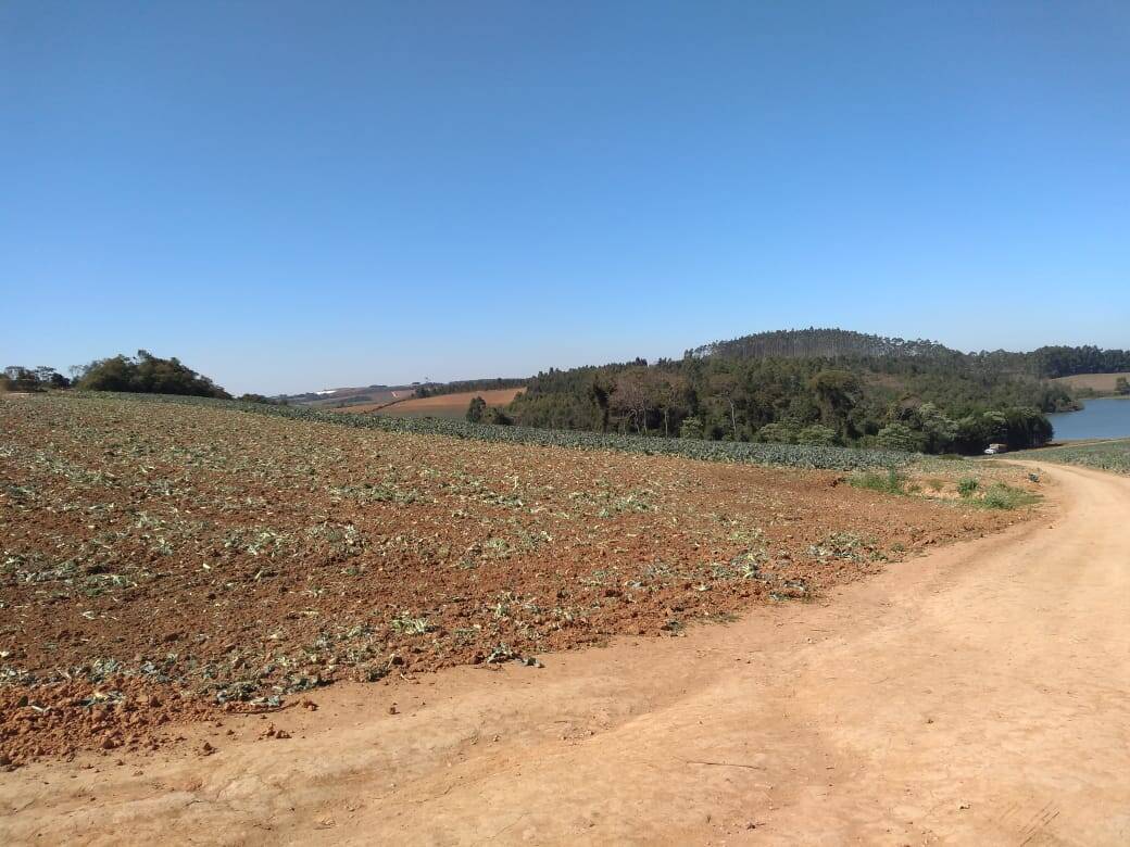 Fazenda em Toledo/Minas Gerais — Ref SP8UJJ — Imagem 6