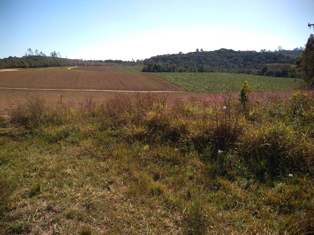 Fazenda em Toledo/Minas Gerais — Ref SP8UJJ — Imagem 7