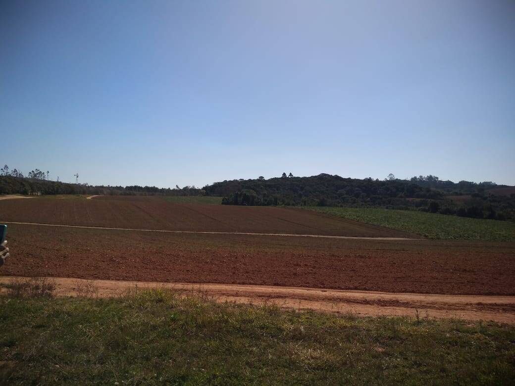 Fazenda em Toledo/Minas Gerais — Ref SP8UJJ — Imagem 4