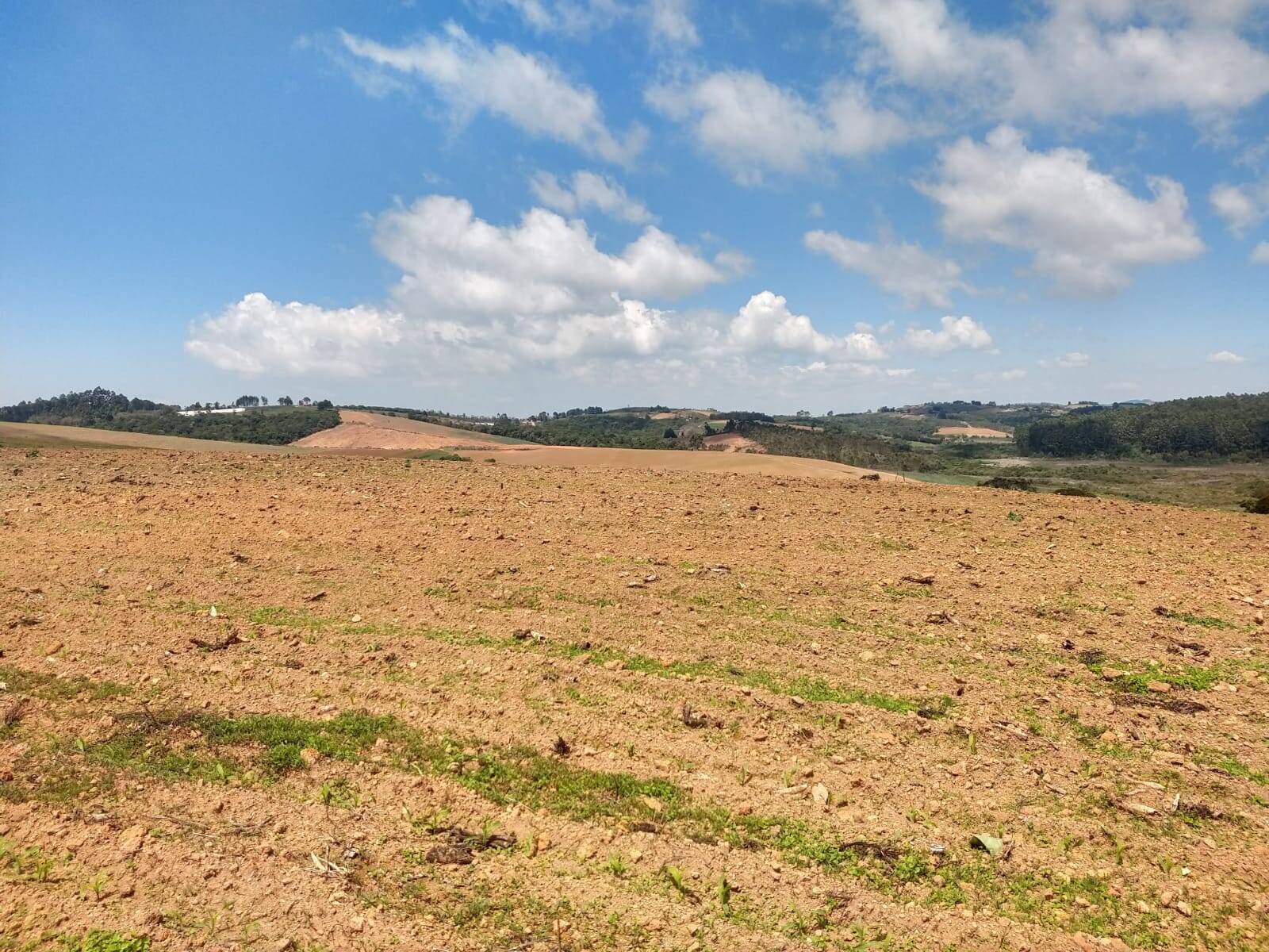 Fazenda em Toledo/Minas Gerais — Ref SP8UJJ — Imagem 13