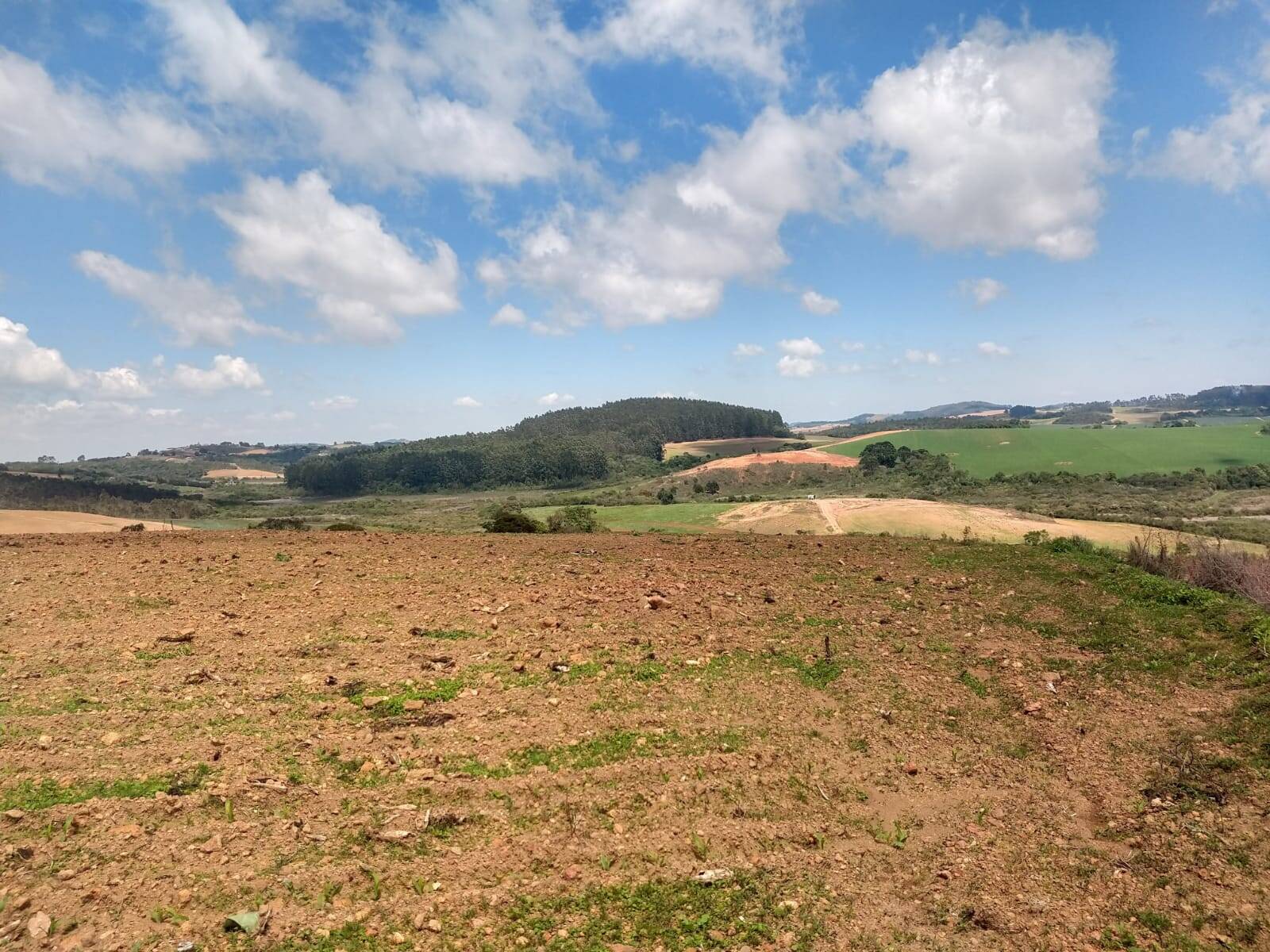 Fazenda em Toledo/Minas Gerais — Ref SP8UJJ — Imagem 12