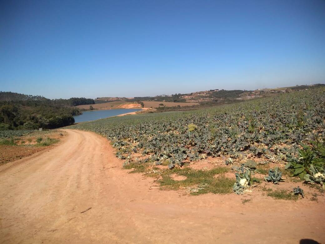 Fazenda em Toledo/Minas Gerais — Ref SP8UJJ — Imagem 3