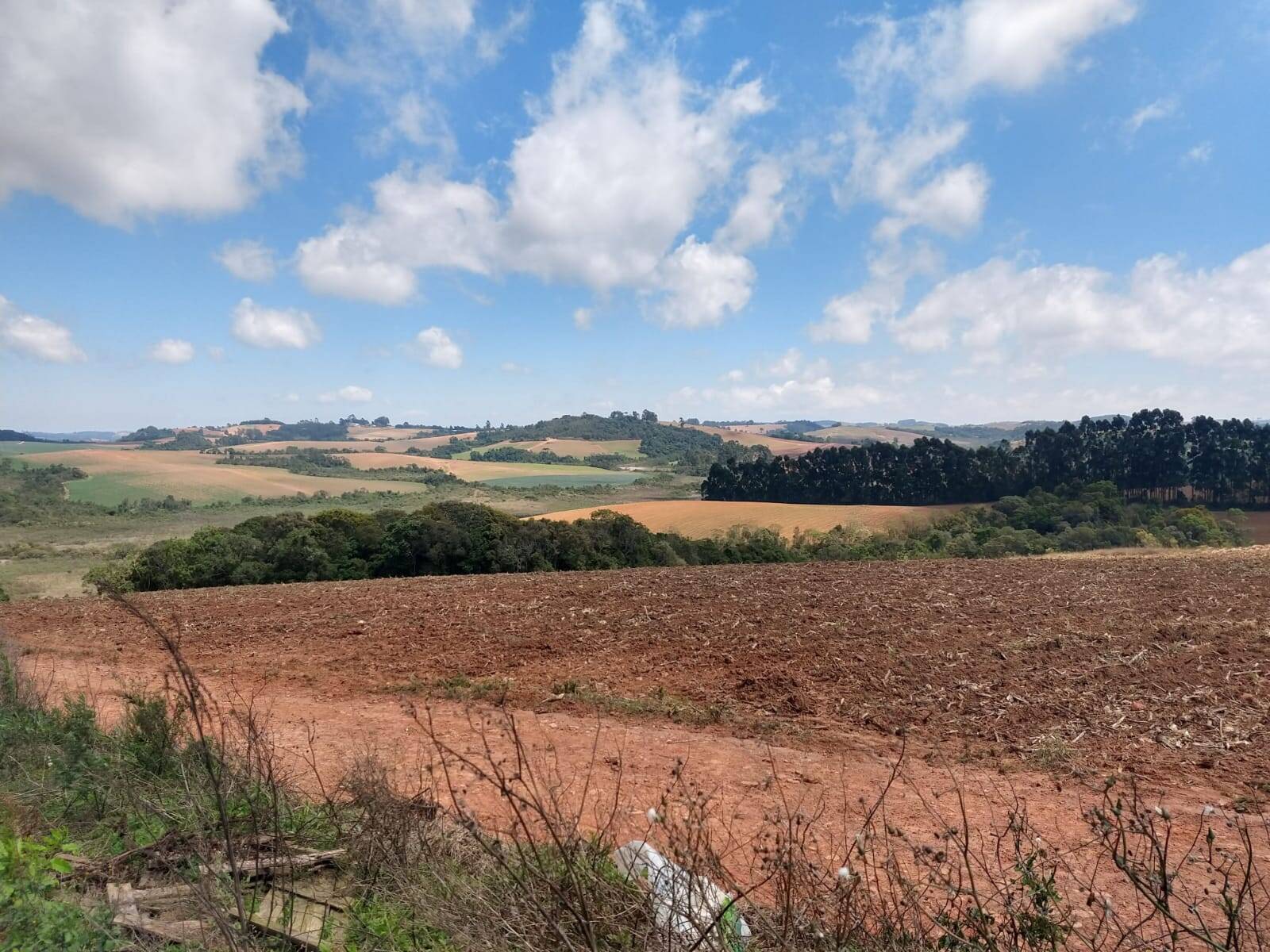 Fazenda em Toledo/Minas Gerais — Ref SP8UJJ — Imagem 15