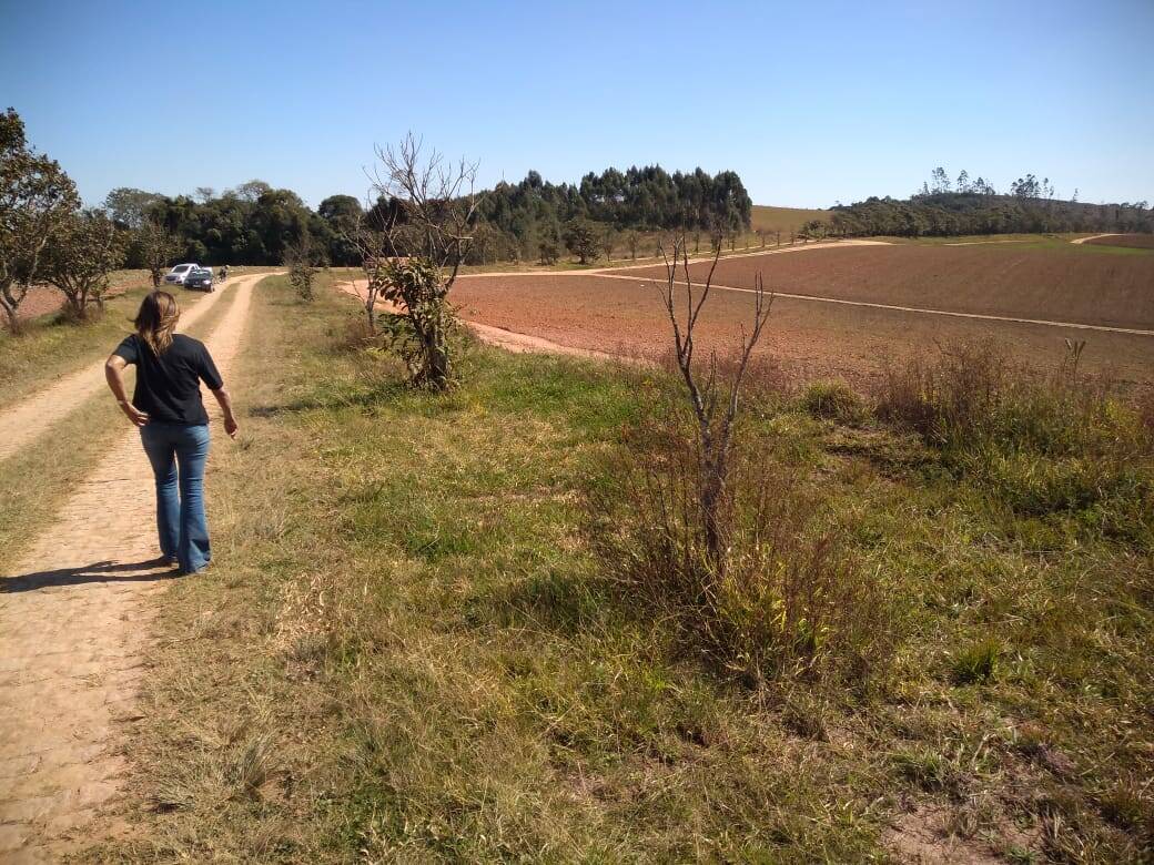 Fazenda em Toledo/Minas Gerais — Ref SP8UJJ — Imagem 18