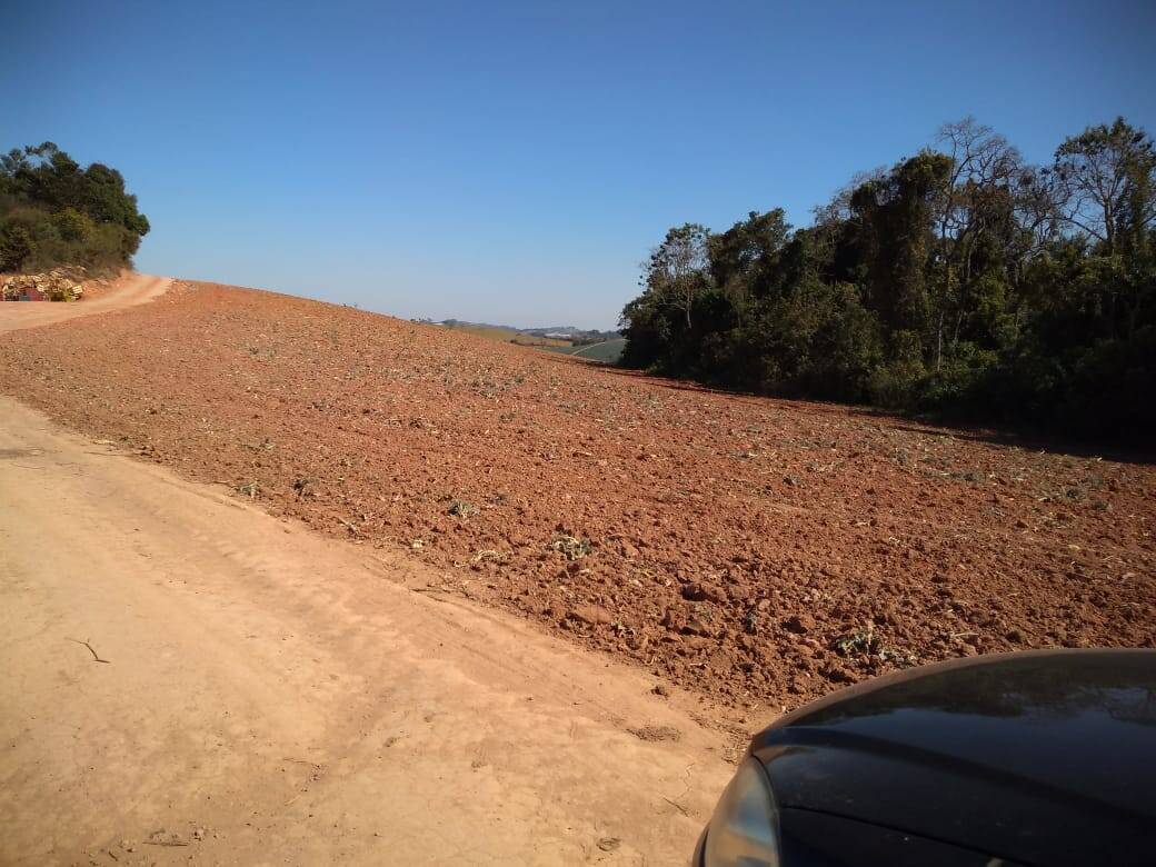 Fazenda em Toledo/Minas Gerais — Ref SP8UJJ — Imagem 22