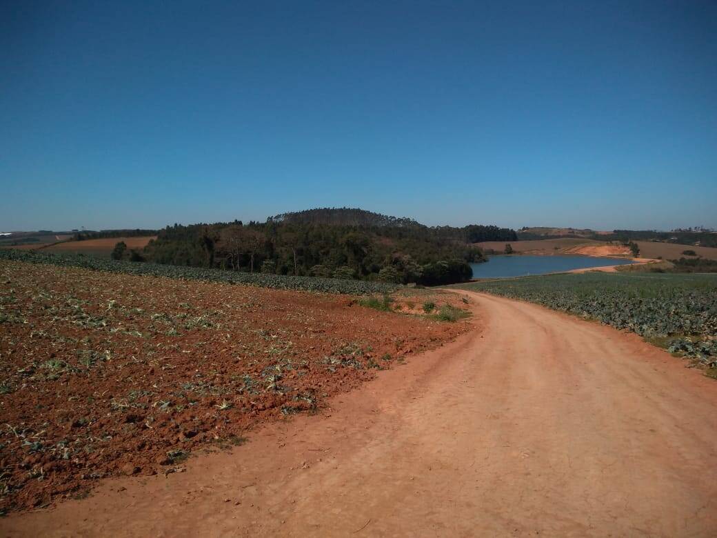 Fazenda em Toledo/Minas Gerais — Ref SP8UJJ — Imagem 23