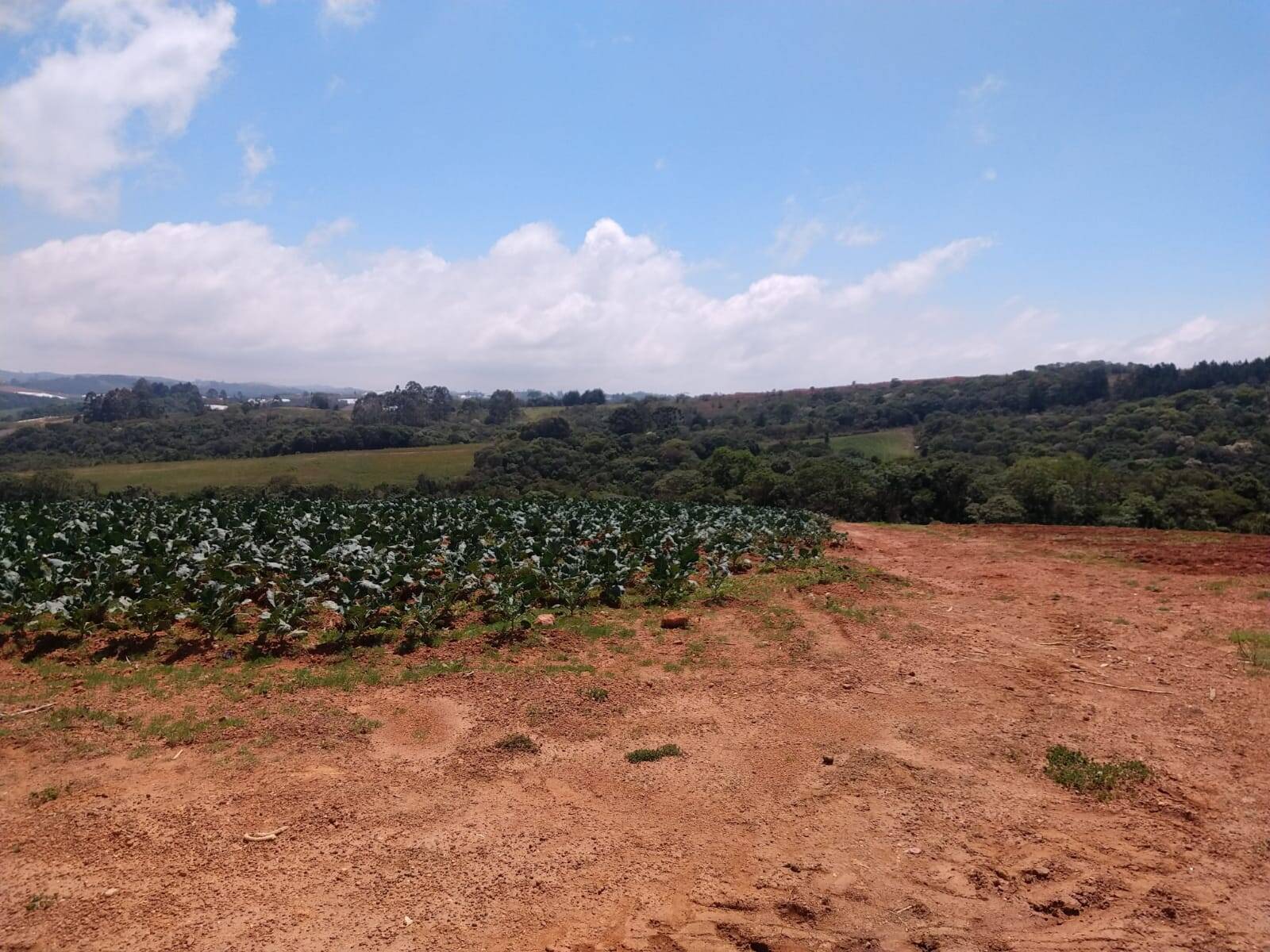 Fazenda em Toledo/Minas Gerais — Ref SP8UJJ — Imagem 20