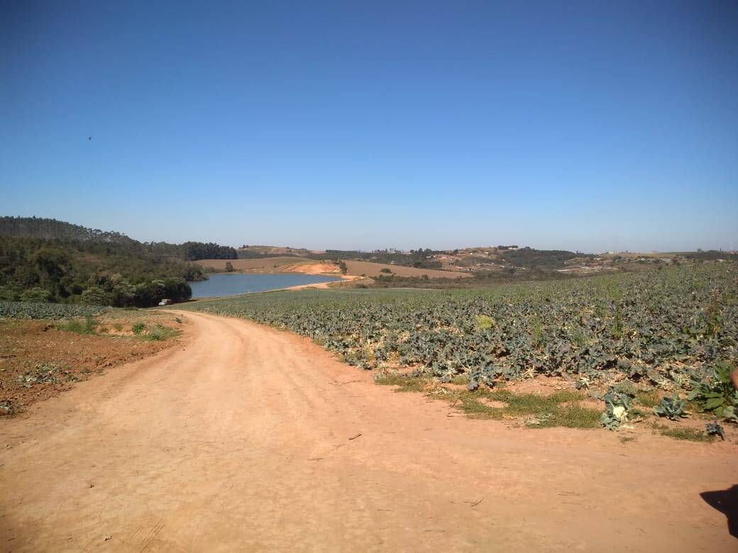 Fazenda em Toledo/Minas Gerais — Ref SP8UJJ — Imagem 25