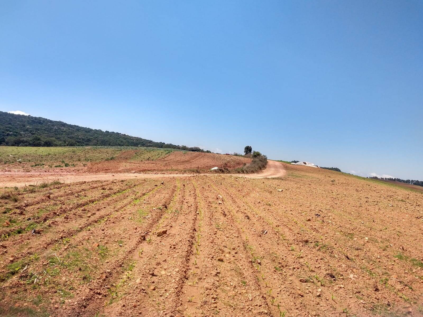 Fazenda em Toledo/Minas Gerais — Ref SP8UJJ — Imagem 5